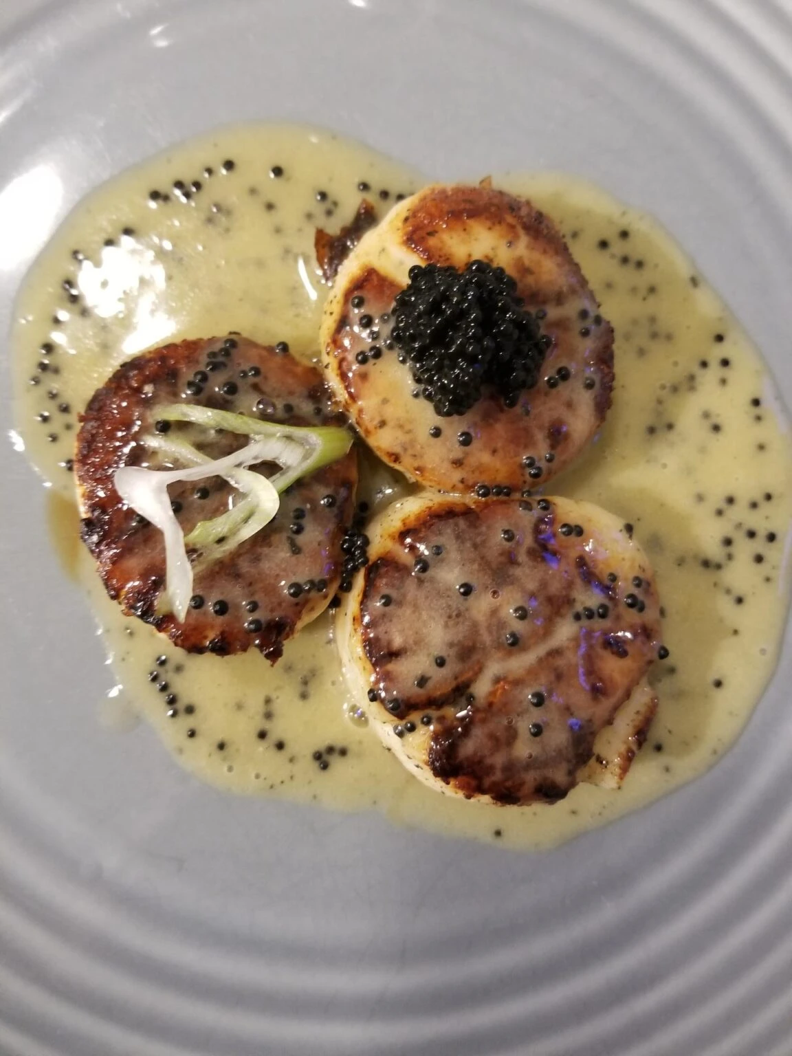 Scallops